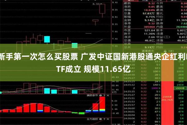 新手第一次怎么买股票 广发中证国新港股通央企红利ETF成立 规模11.65亿