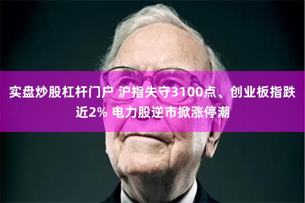 实盘炒股杠杆门户 沪指失守3100点、创业板指跌近2% 电力股逆市掀涨停潮