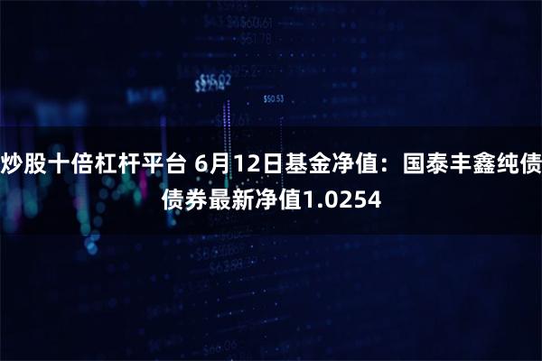 炒股十倍杠杆平台 6月12日基金净值：国泰丰鑫纯债债券最新净值1.0254