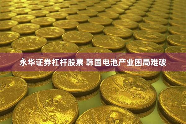 永华证券杠杆股票 韩国电池产业困局难破