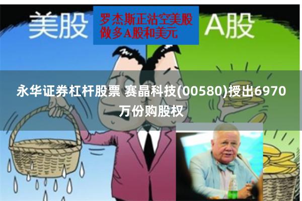 永华证券杠杆股票 赛晶科技(00580)授出6970万份购股