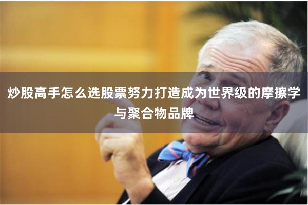 炒股高手怎么选股票努力打造成为世界级的摩擦学与聚合物品牌