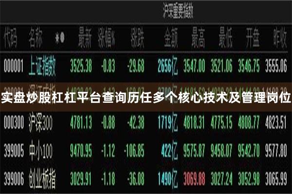 实盘炒股杠杠平台查询历任多个核心技术及管理岗位