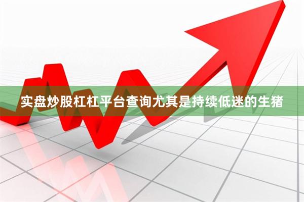 实盘炒股杠杠平台查询尤其是持续低迷的生猪